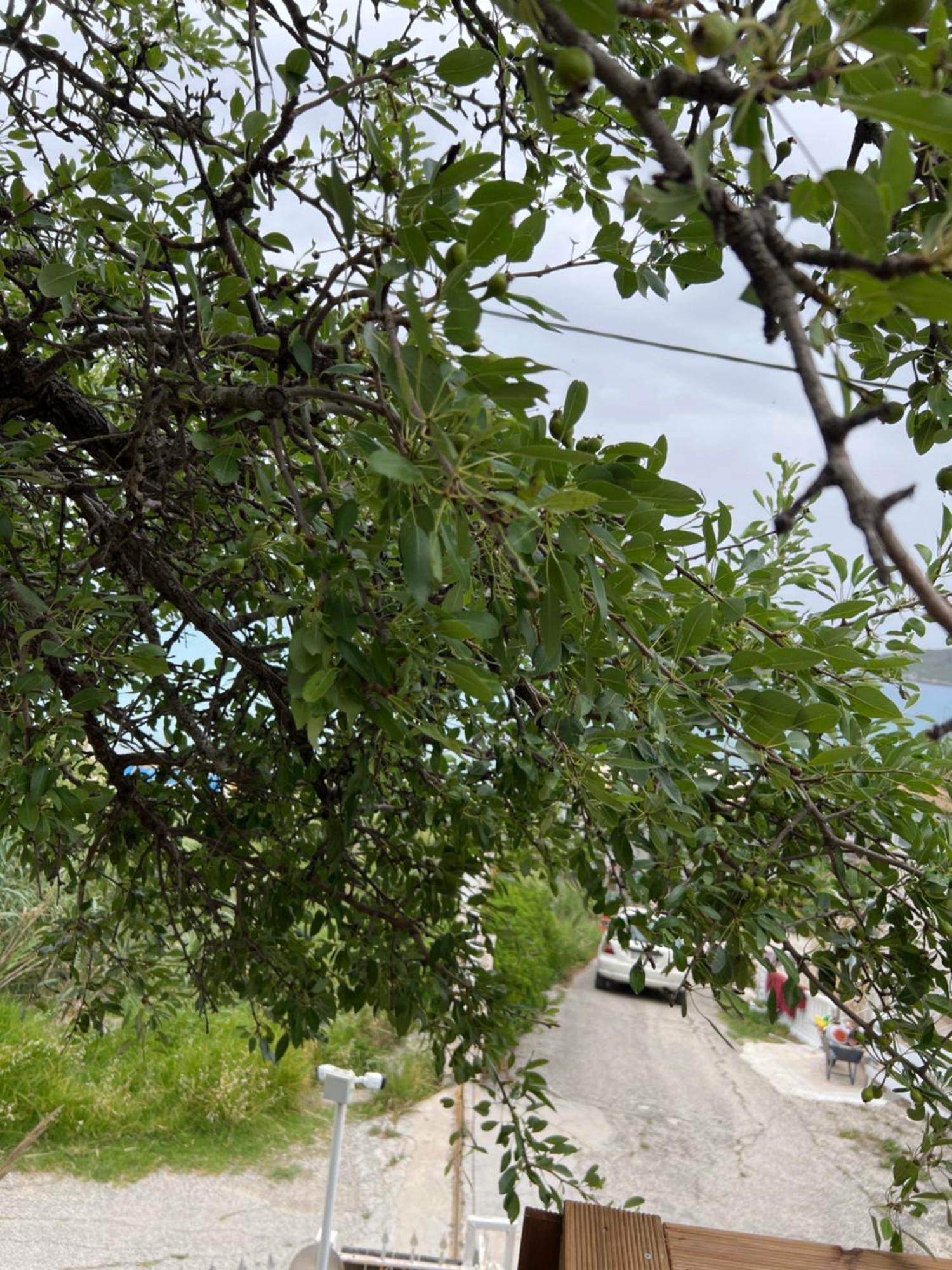 Διαμέρισμα Hamre Άγιος Γεώργιος Πάγων