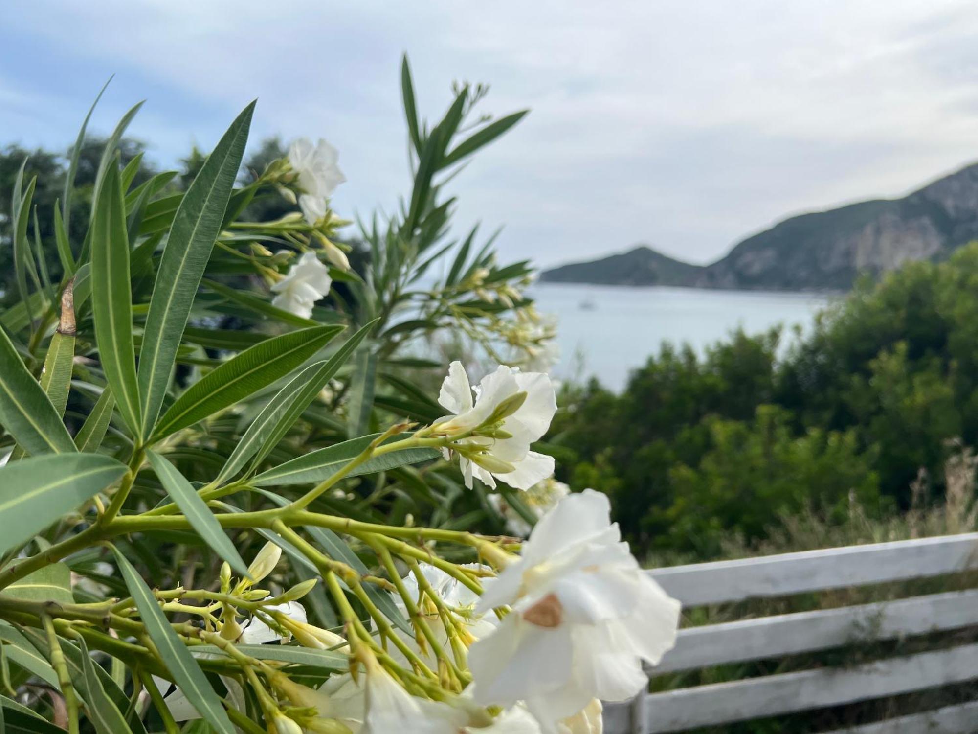 Διαμέρισμα Hamre